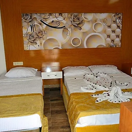 Anita Dream 4*