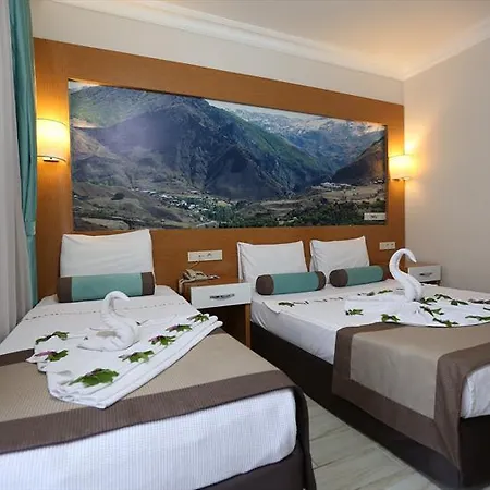 Отель Anita Dream 4*