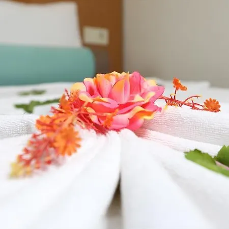 Anita Dream Kemer